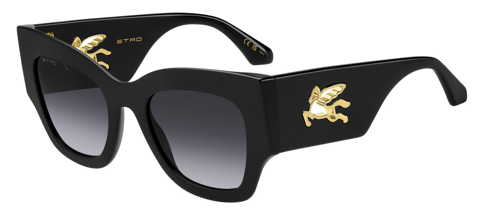 ETRO ETRO 0076/S 807