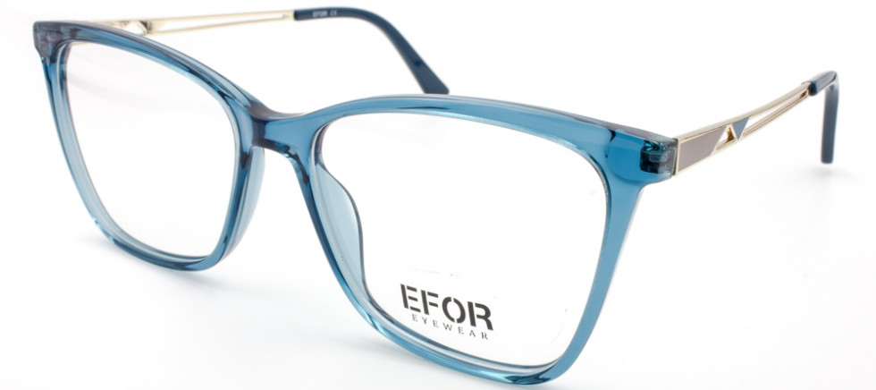 EFOR 33012 C09