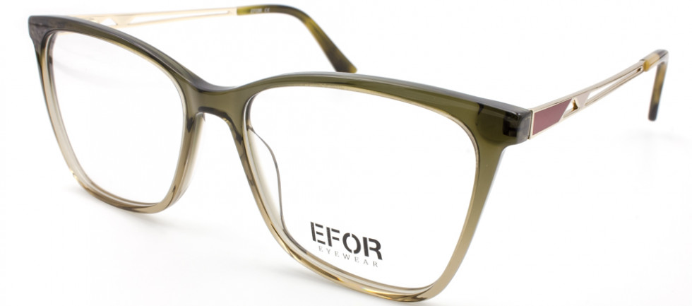 EFOR 33012 C10