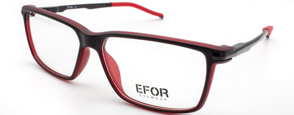 EFOR 5021 C6