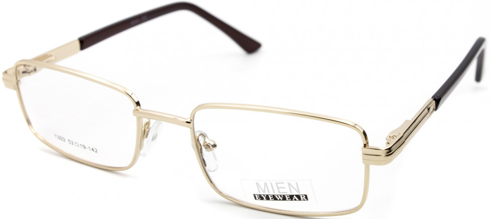 MIEN 1302 C2