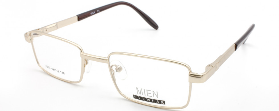 MIEN 2003 C79