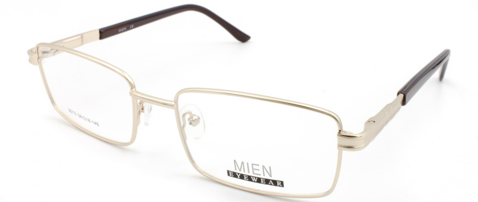 MIEN 2013 C79