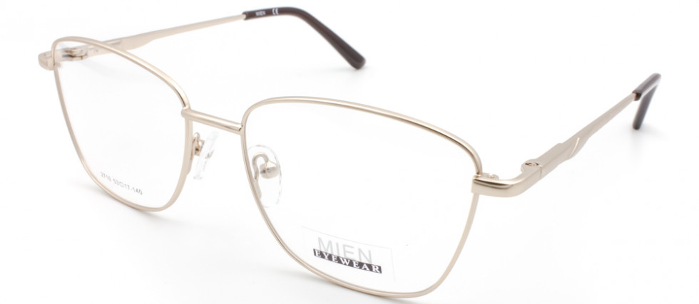 MIEN 2710 C29