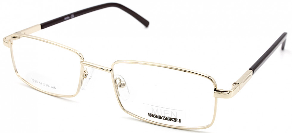 MIEN 7220 C2