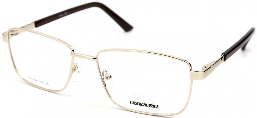 MIEN 7281 C2