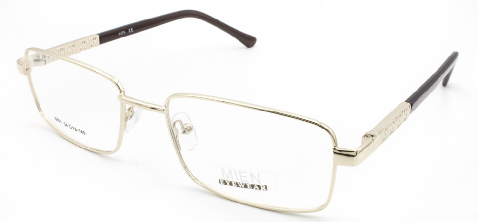 MIEN 8691 C2