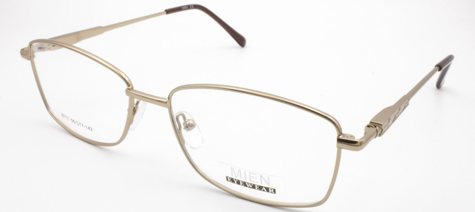 MIEN 8717 C100B