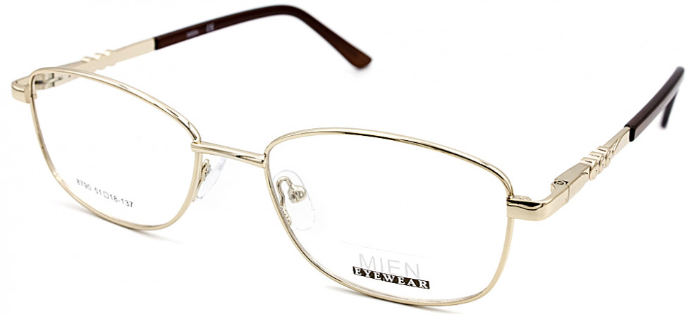 MIEN 8790 C2