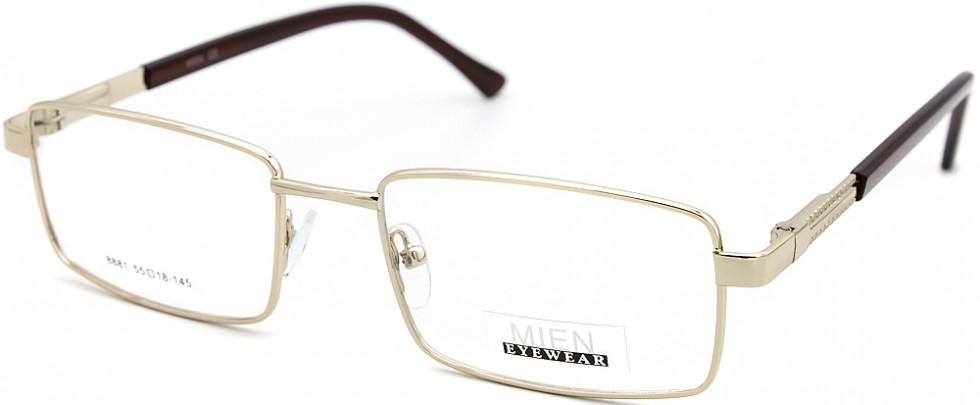 MIEN 8881 C2