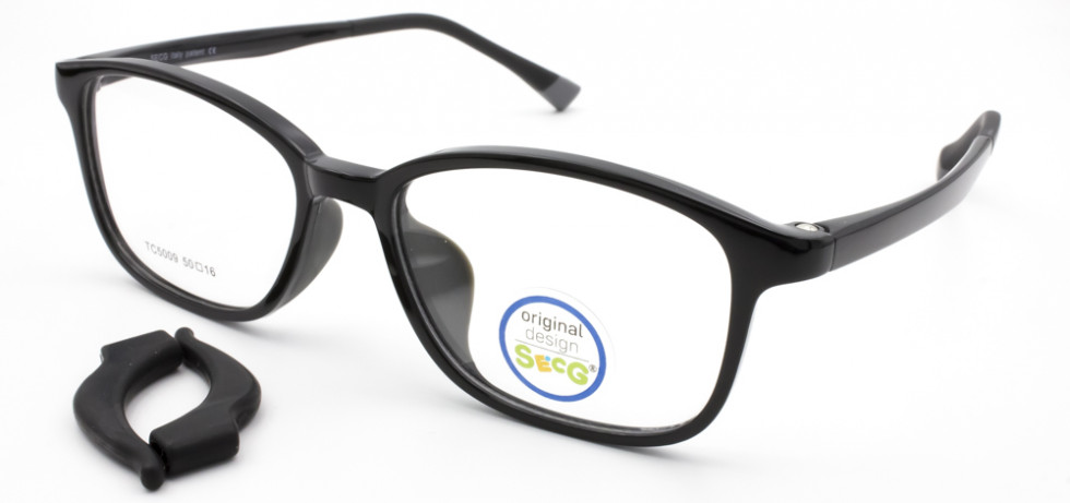 SECG 5009 C6