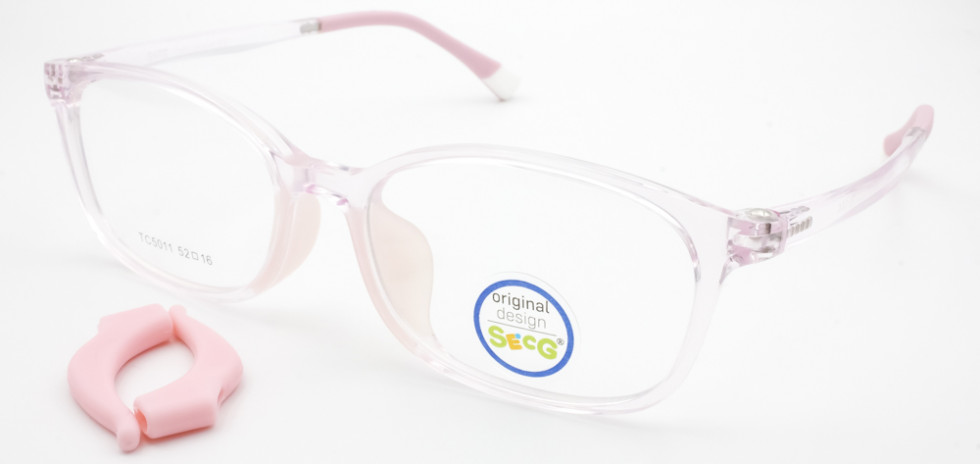 SECG 5011 C2
