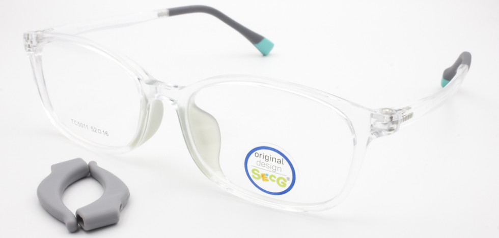 SECG 5011 C3