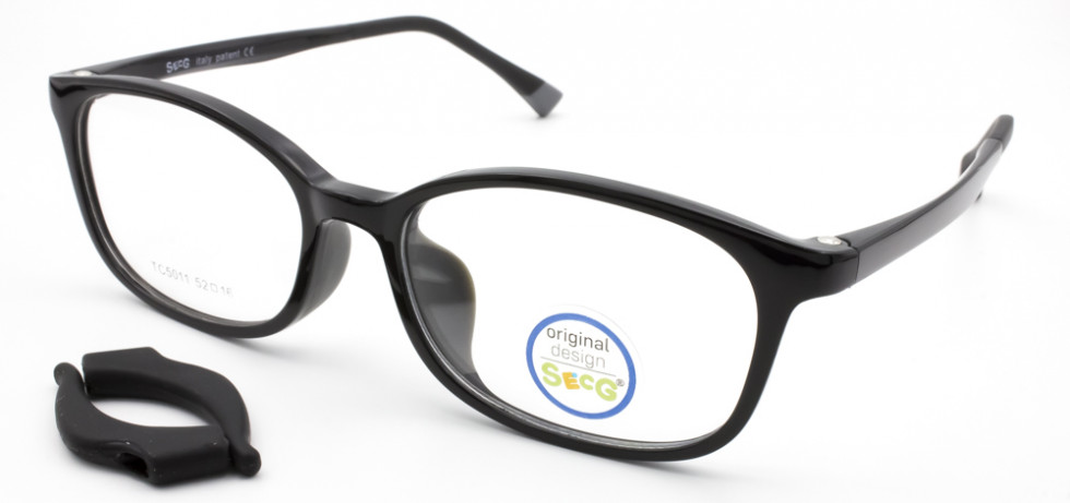 SECG 5011 C6