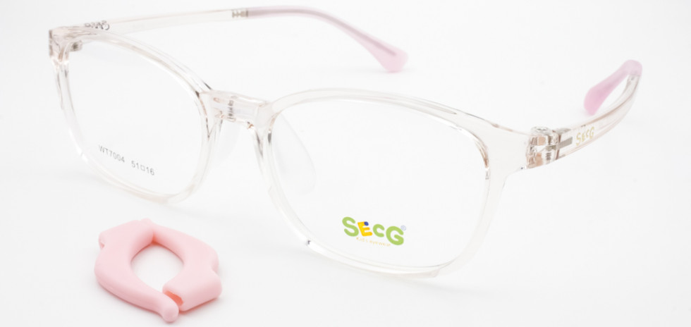 SECG 7004 C3