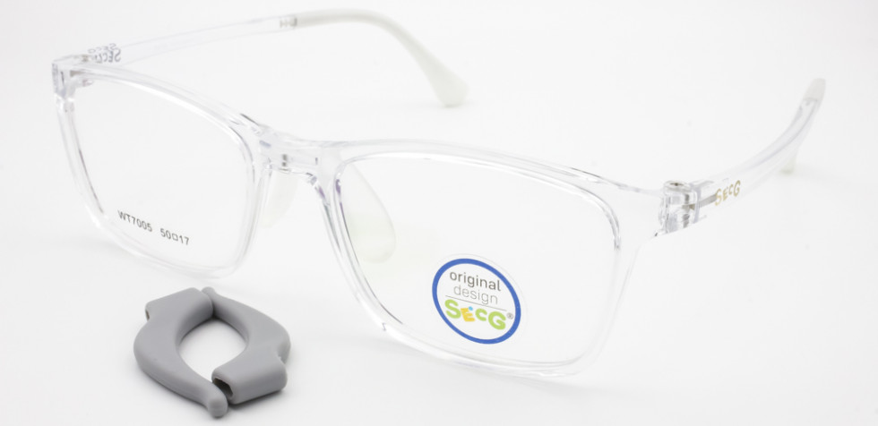 SECG 7005 C4