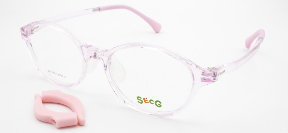 SECG 7101 C2