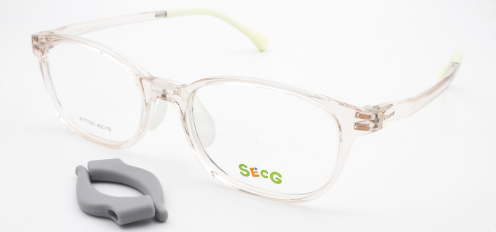 SECG 7103 C10