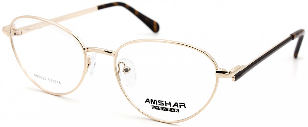 AMSHAR 9022 C1
