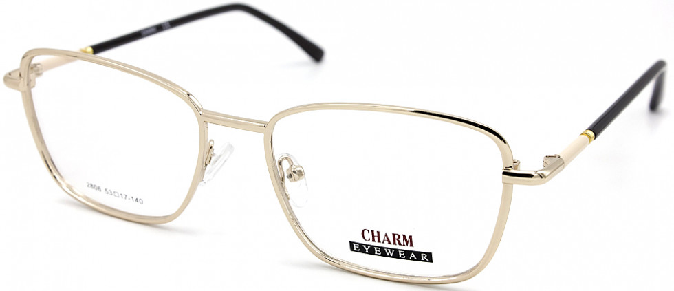CHARM 2806 C1