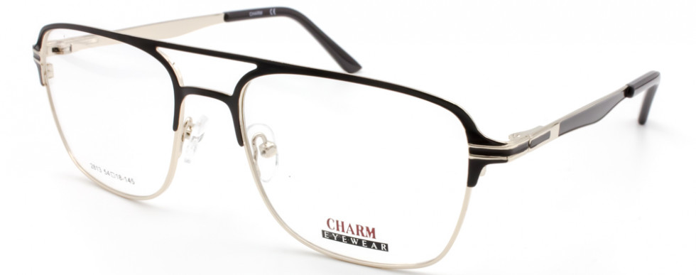 CHARM 2813 C1