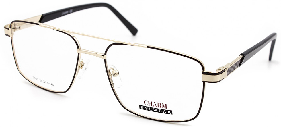 CHARM 3003 C1
