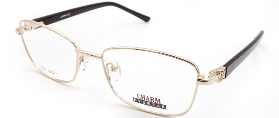 CHARM 5501 C1