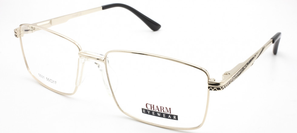 CHARM 5531 C1