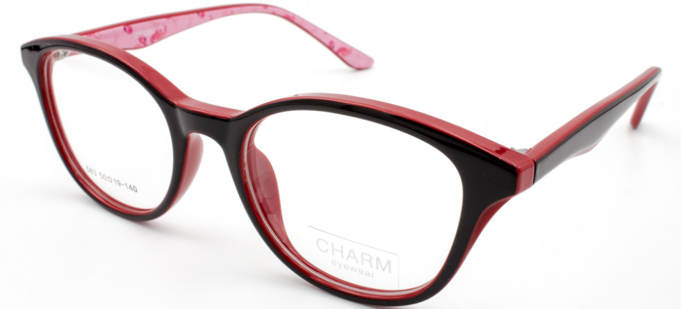 CHARM 583 C2