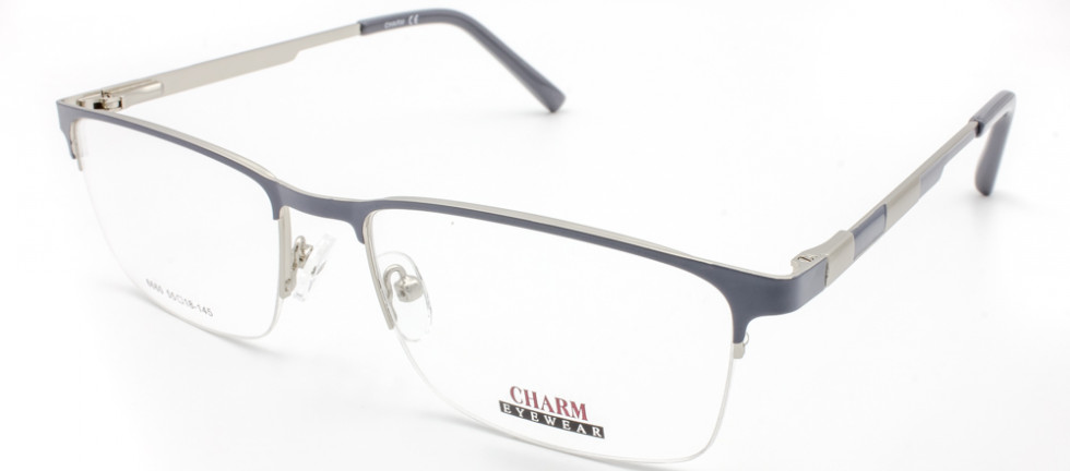 CHARM 6660 C10