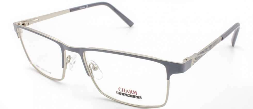 CHARM 6661 C10