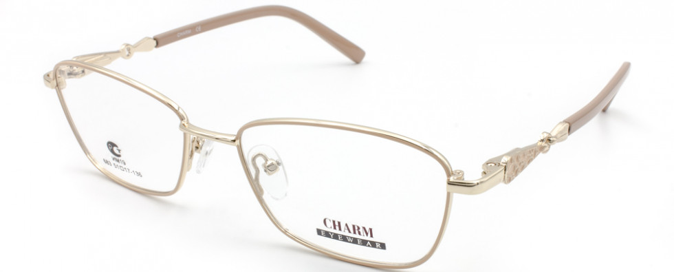CHARM 683 C6