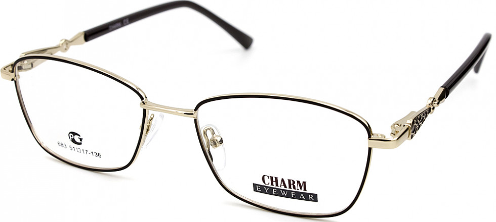CHARM 683 C9