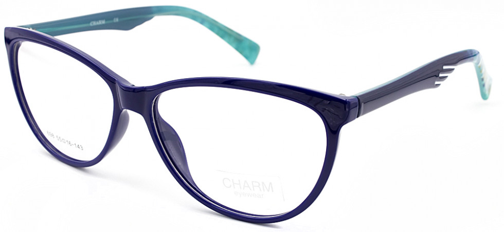 CHARM 698 C1