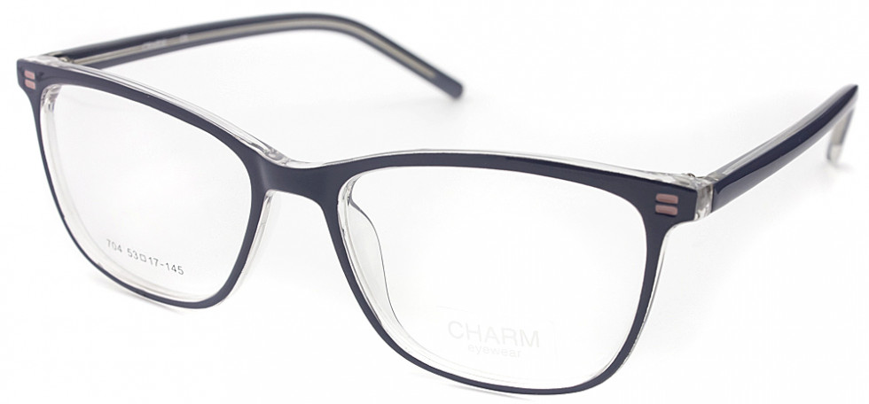 CHARM 704 C6