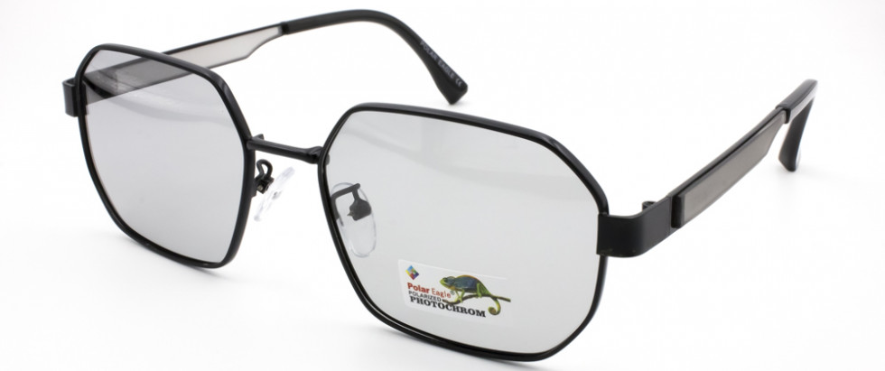 POLAR EAGLE 06117 C1