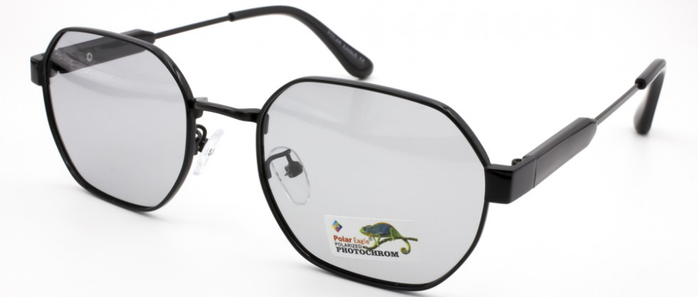 POLAR EAGLE 06123 C1