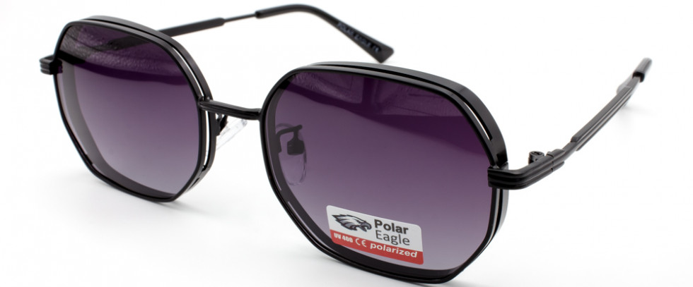 POLAR EAGLE 06210 C1