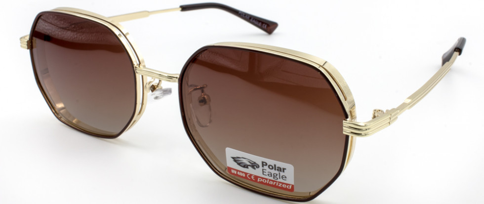 POLAR EAGLE 06210 C2