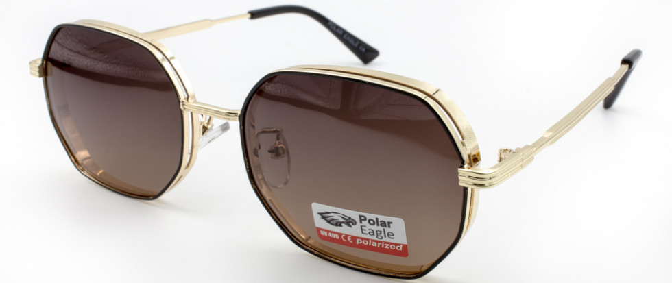 POLAR EAGLE 06210 C6