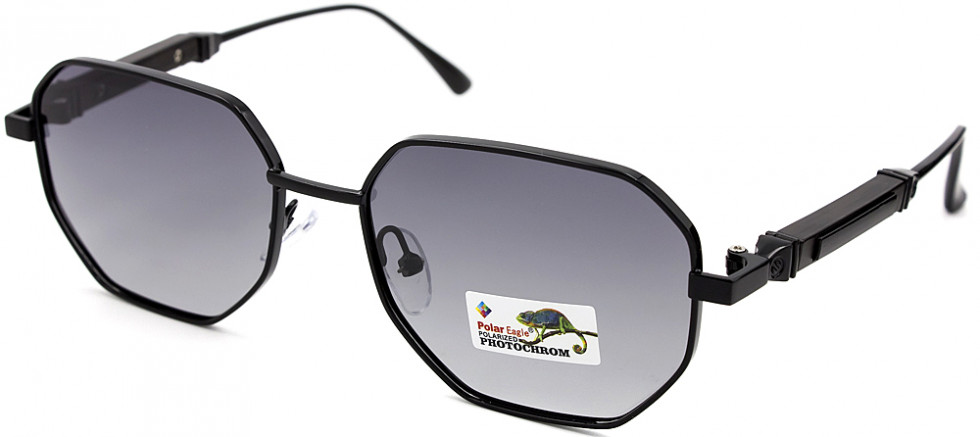 POLAR EAGLE 06234 C1