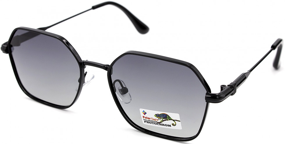 POLAR EAGLE 06237 C1