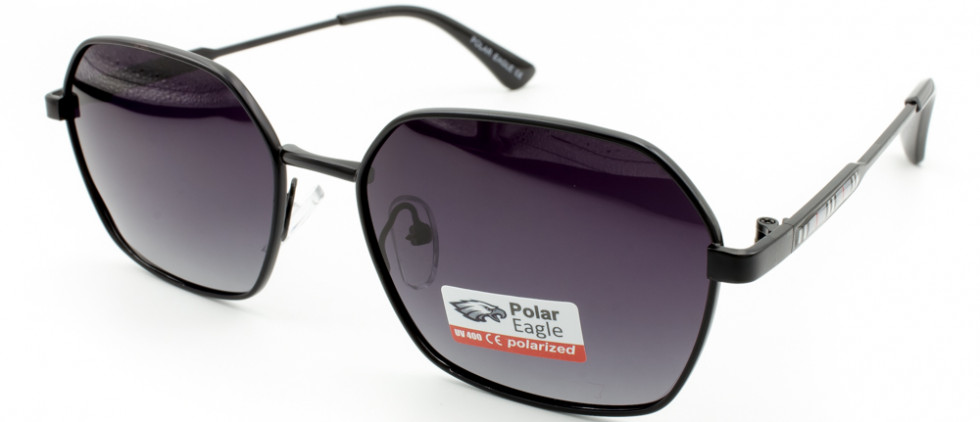 POLAR EAGLE 06309 C1