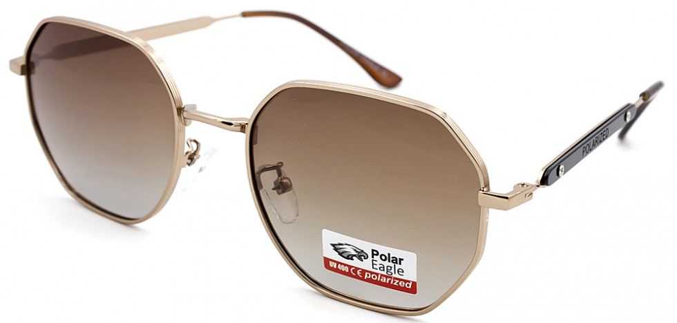 POLAR EAGLE 06315 C2