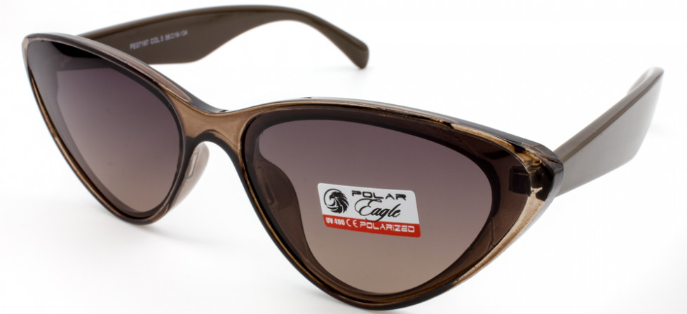 POLAR EAGLE 07197 C5