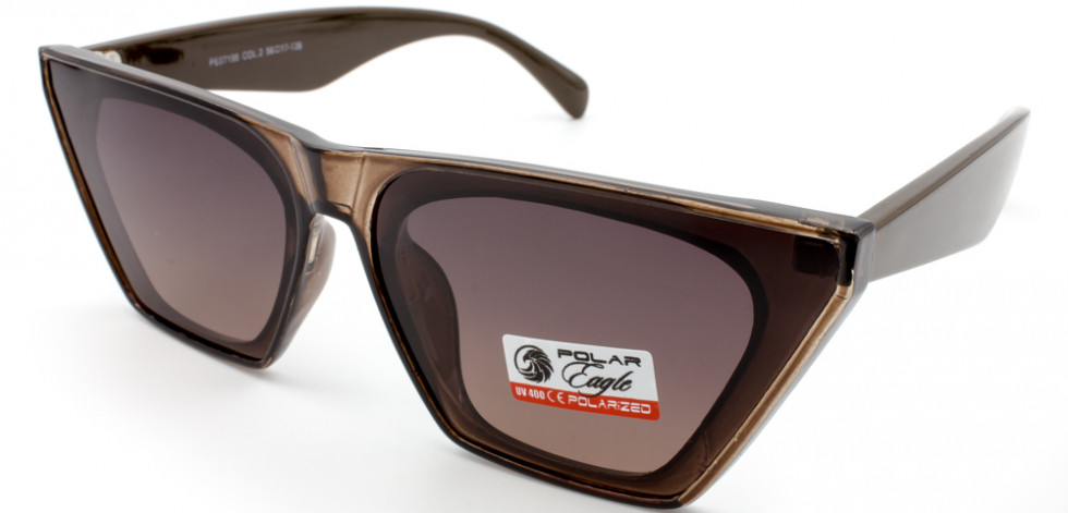 POLAR EAGLE 07198 C2