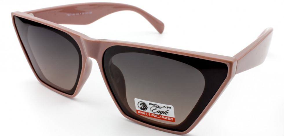 POLAR EAGLE 07198 C4
