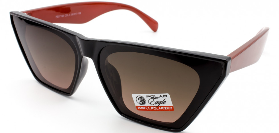 POLAR EAGLE 07198 C5