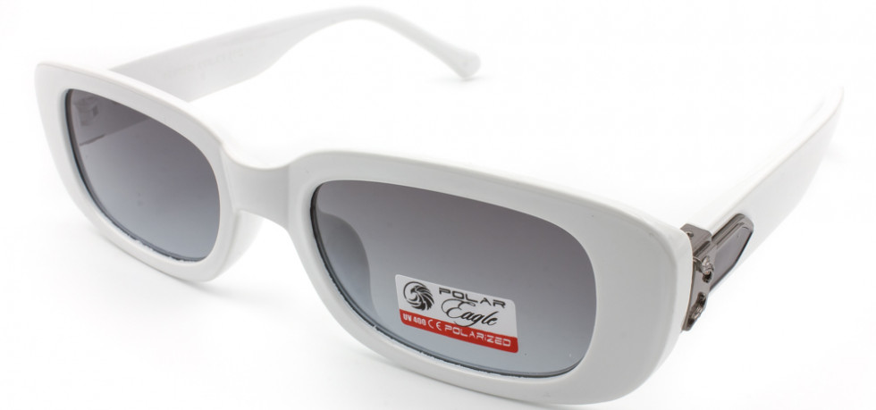 POLAR EAGLE 07273 C5