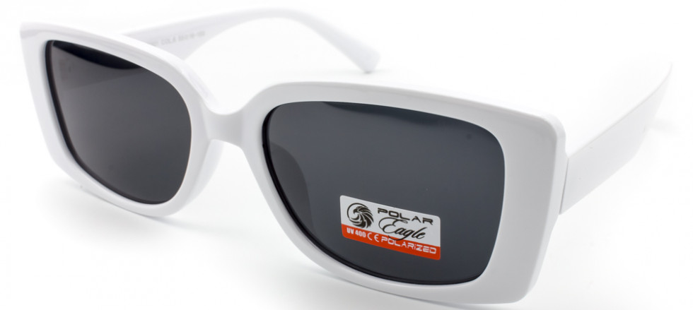 POLAR EAGLE 09301 C6